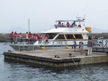 イルカウォッチング イルカウォッチング