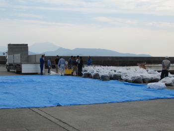 ヒジキかけ ヒジキかけ