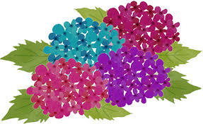 イラスト イラスト