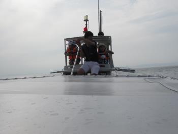 イルカウォッチング イルカウォッチング