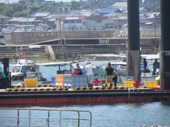 トサカ漁 トサカ漁